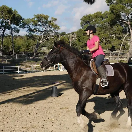 شقة 2 Bedroom Artemis With Two Communal Pools, Aphrodite Hills كوكليا